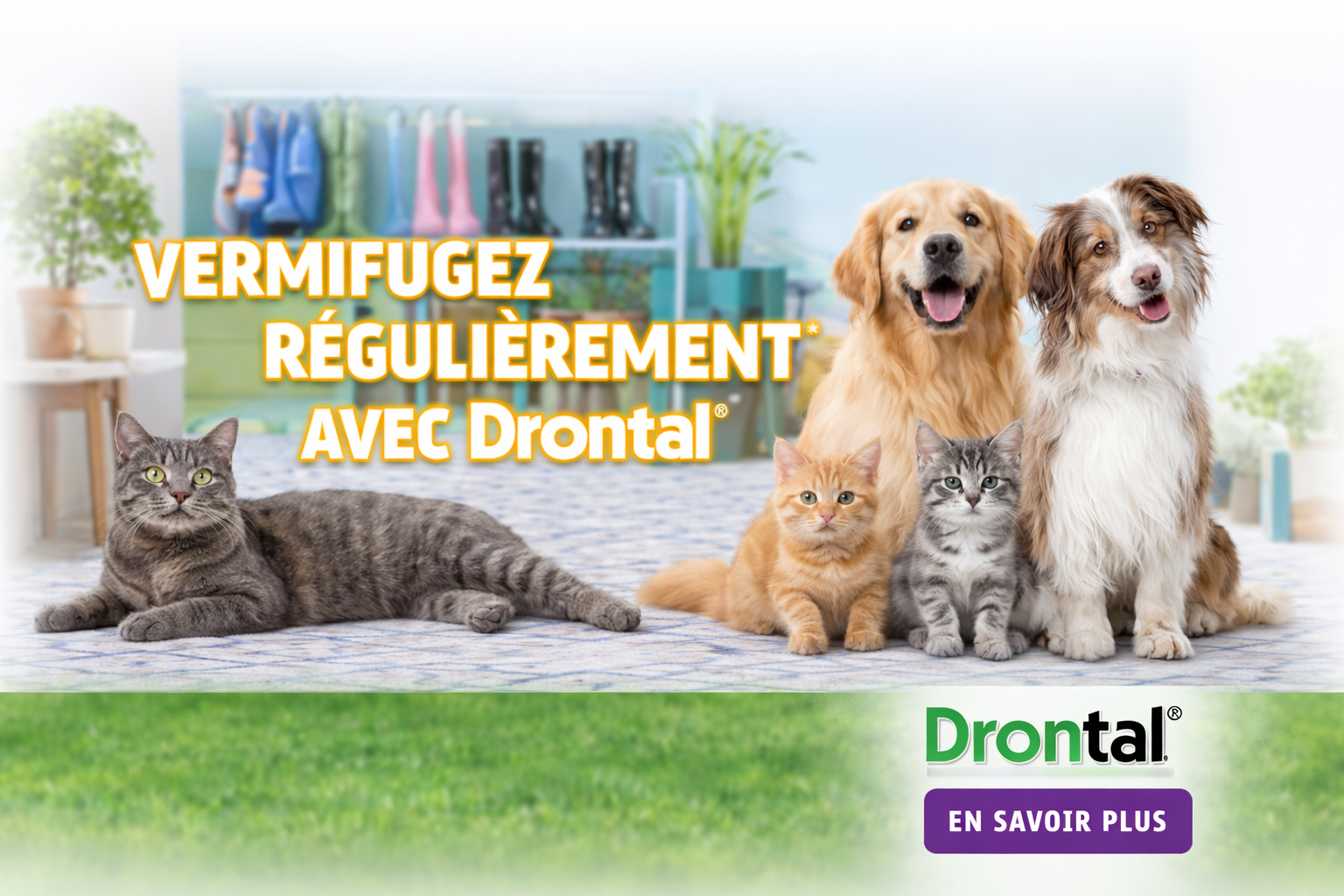 Pub drontal avec animaux heureux 